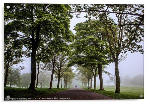 Roundhay Park avenue of Trees Acrylic by Richard Perks