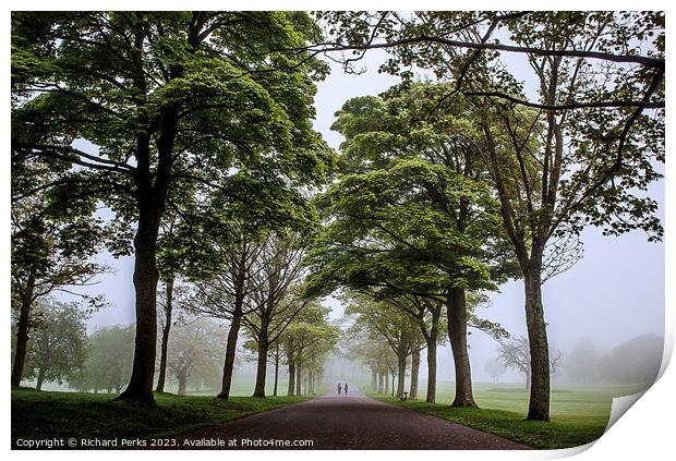 Roundhay Park avenue of Trees Print by Richard Perks
