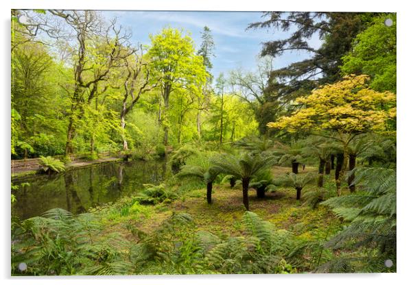 The tree ferns, in a Spring Woodland Acrylic by kathy white