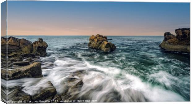Rugged Beauty of Daisy Rock Canvas Print by Tom McPherson
