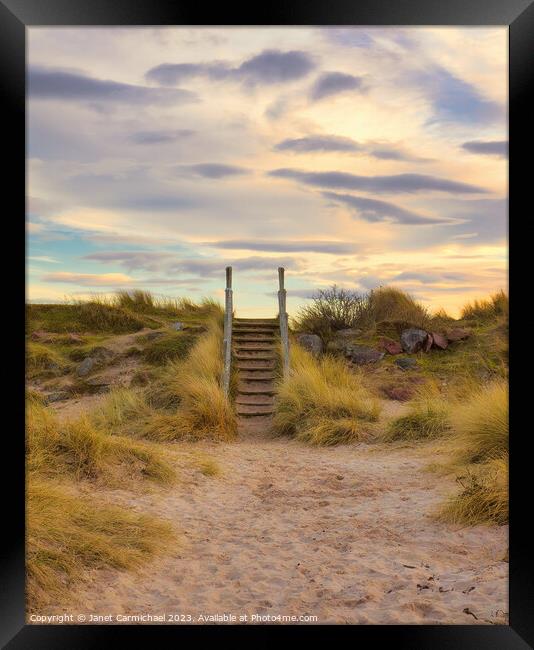 Stairway to Heaven Framed Print by Janet Carmichael