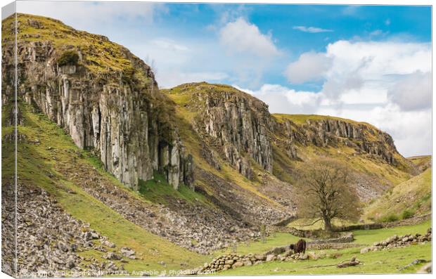 Holwick Scar, Teesdale (1) Canvas Print by Richard Laidler
