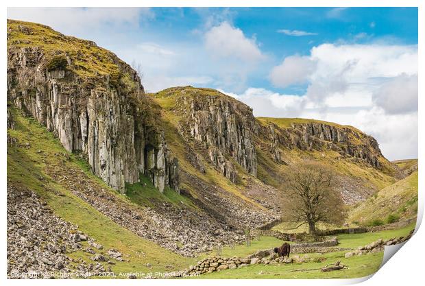 Holwick Scar, Teesdale (1) Print by Richard Laidler