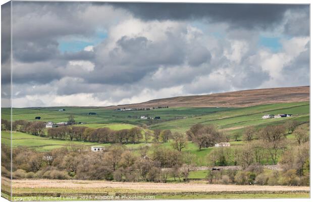 Into Ettersgill from Holwick, Teesdale Canvas Print by Richard Laidler
