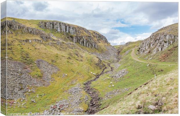Holwick Scar, Teesdale (2) Canvas Print by Richard Laidler