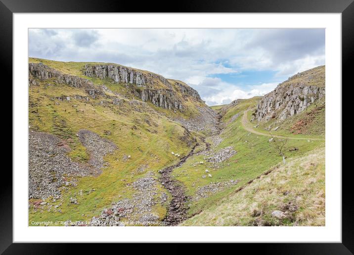 Holwick Scar, Teesdale (2) Framed Mounted Print by Richard Laidler