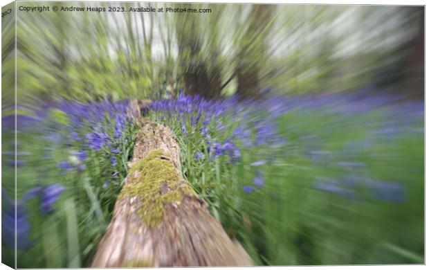 Woodland Bluebells in motion serene Canvas Print by Andrew Heaps