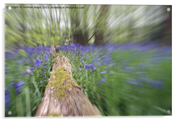 Woodland Bluebells in motion serene Acrylic by Andrew Heaps