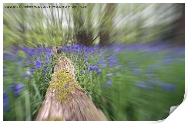 Woodland Bluebells in motion serene Print by Andrew Heaps