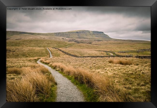 Walking on the Pennine Way and Ribble Way below Pen-y-Ghent in H Framed Print by Peter Stuart