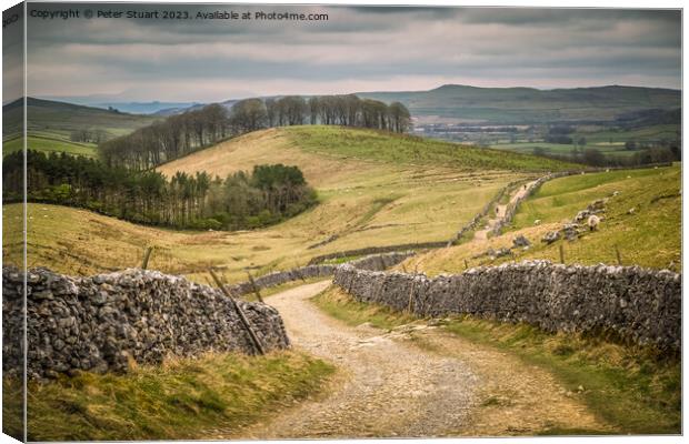 Walking on the Pennine Way and Ribble Way below Pen-y-Ghent in H Canvas Print by Peter Stuart