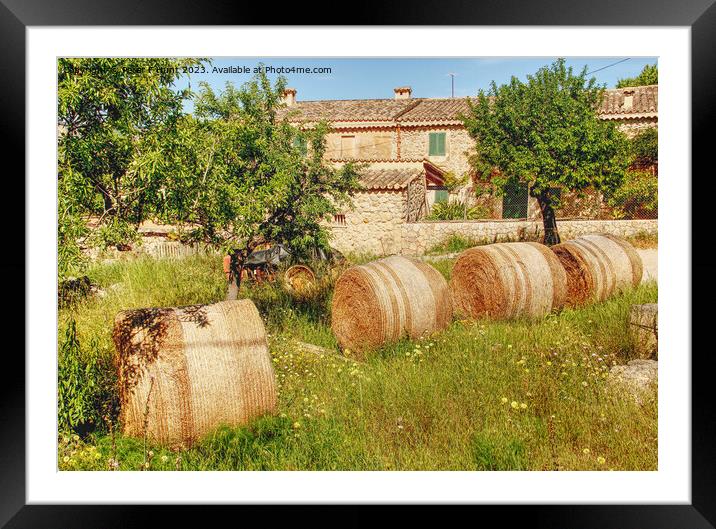 A Farm In Calvia Mallorca Framed Mounted Print by Peter F Hunt