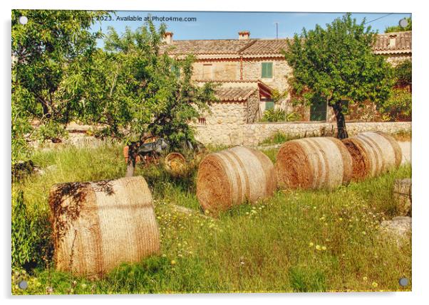 A Farm In Calvia Mallorca Acrylic by Peter F Hunt