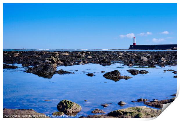 Berwick Lighthouse beyond the Rocks Print by Kasia Design