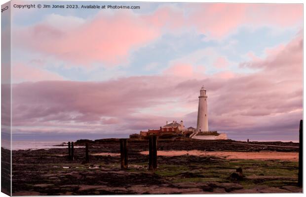 St Mary's Island in Pink and Blue Canvas Print by Jim Jones