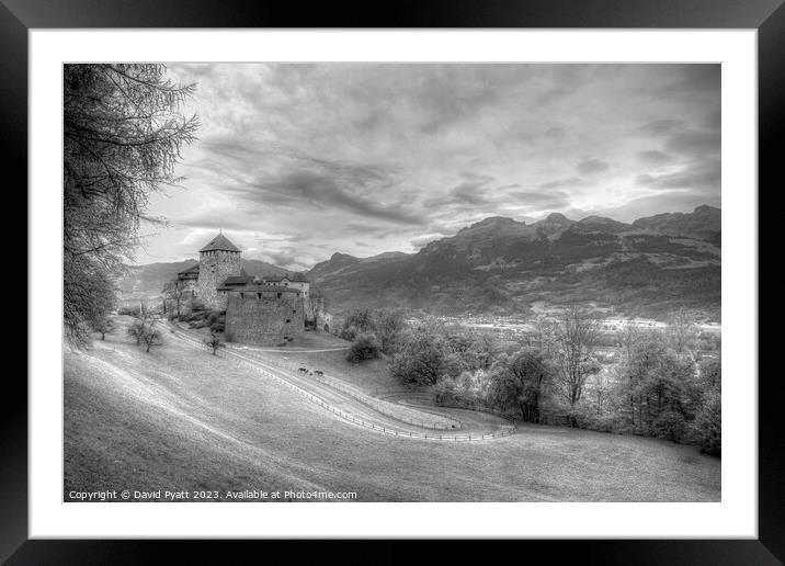 Vaduz Castle Liechtenstein Infrared Framed Mounted Print by David Pyatt