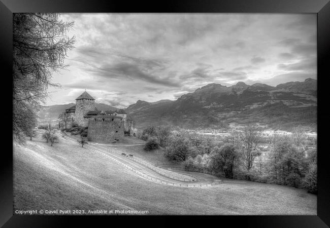 Vaduz Castle Liechtenstein Infrared Framed Print by David Pyatt