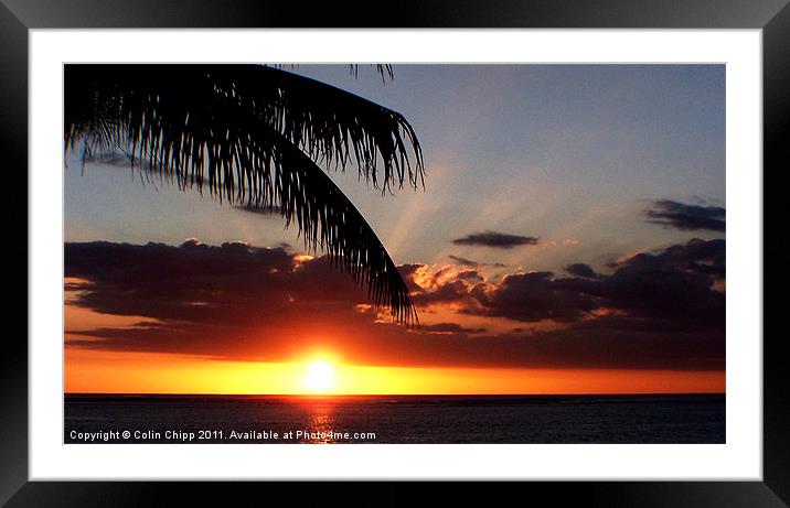 sunset and palm Framed Mounted Print by Colin Chipp