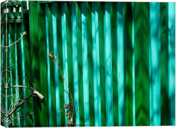 Colourful Fence Canvas Print by Stephanie Moore