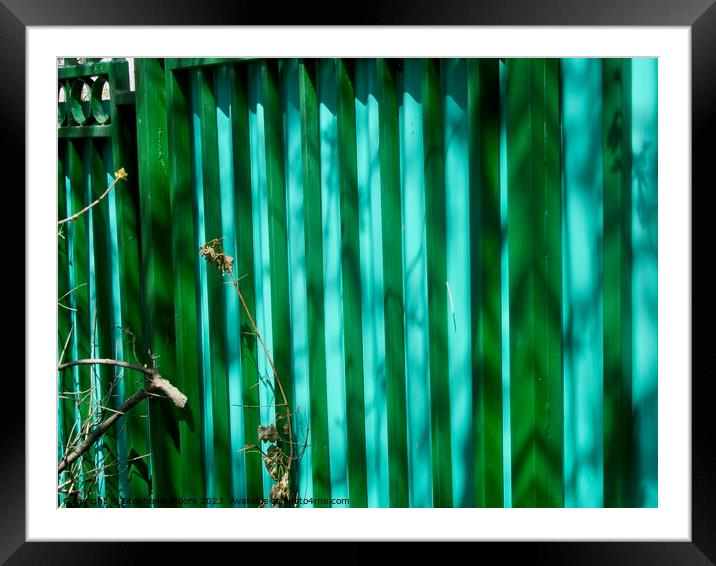 Colourful Fence Framed Mounted Print by Stephanie Moore