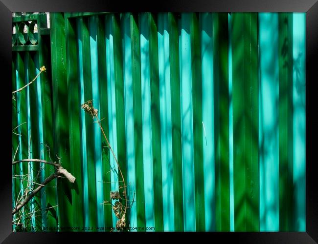 Colourful Fence Framed Print by Stephanie Moore