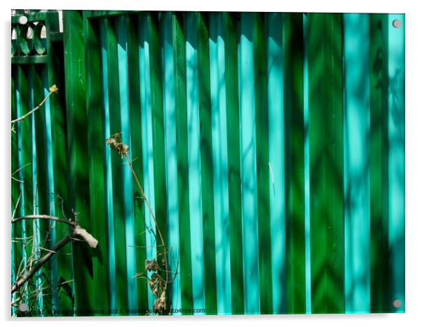 Colourful Fence Acrylic by Stephanie Moore