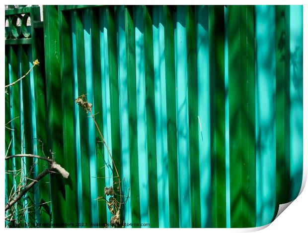 Colourful Fence Print by Stephanie Moore
