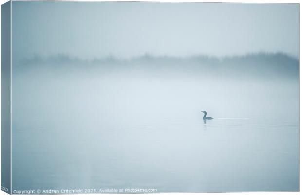 Misty Morning Canvas Print by Andy Critchfield