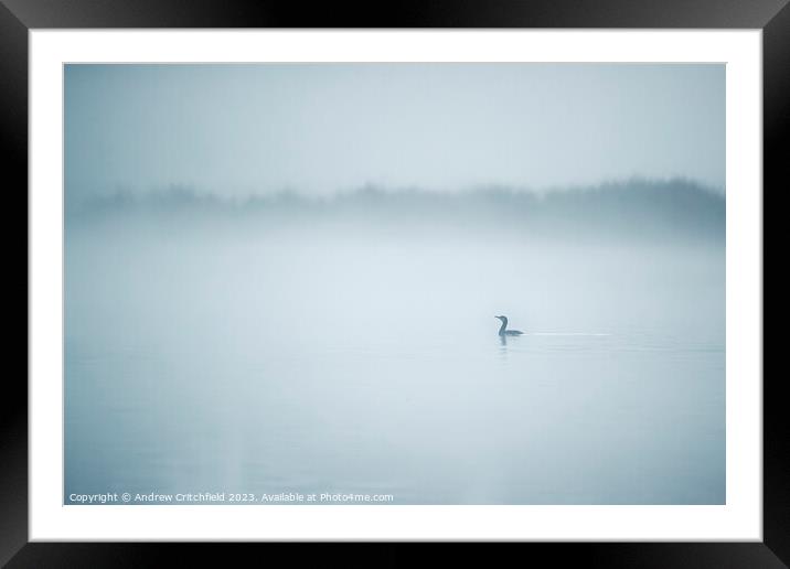 Misty Morning Framed Mounted Print by Andy Critchfield