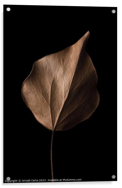 leaf Acrylic by Arnold Certa