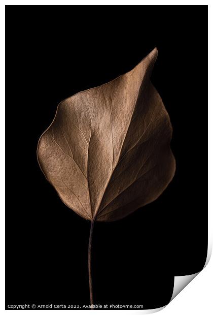 leaf Print by Arnold Certa