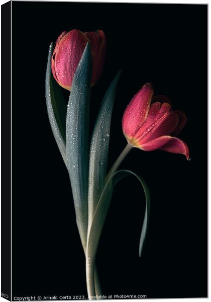 Red Tulips  Canvas Print by Arnold Certa