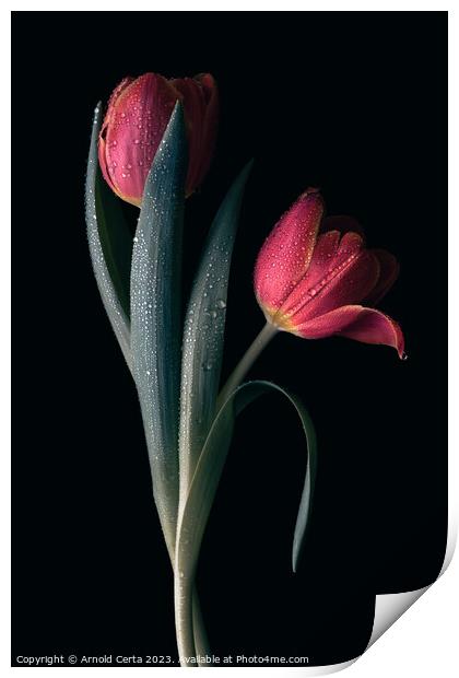 Red Tulips  Print by Arnold Certa