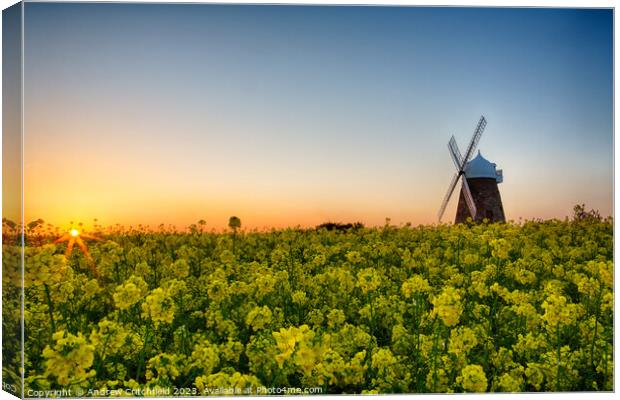 Halnaker Windmill at Sunset Canvas Print by Andy Critchfield