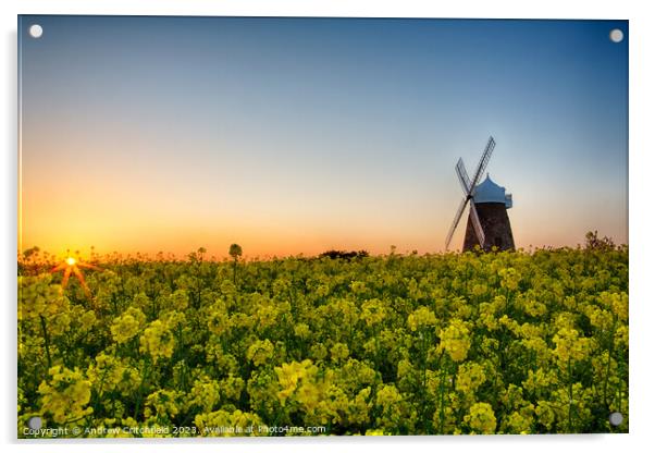 Halnaker Windmill at Sunset Acrylic by Andy Critchfield
