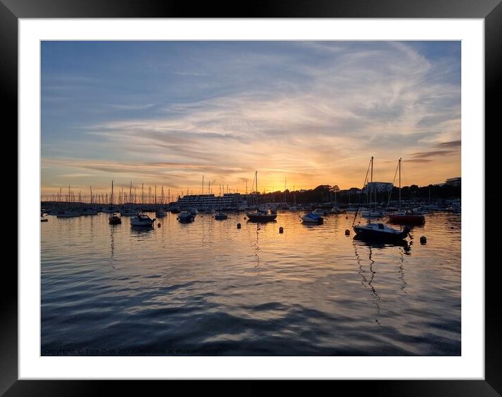 Golden Hour at Plymouth Docks Framed Mounted Print by TTG 