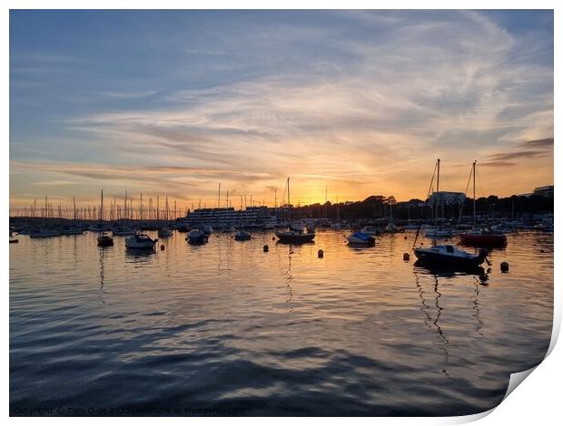 Golden Hour at Plymouth Docks Print by TTG 