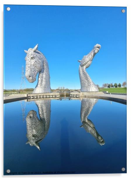 Majestic Kelpies by the Lake  Acrylic by TTG 