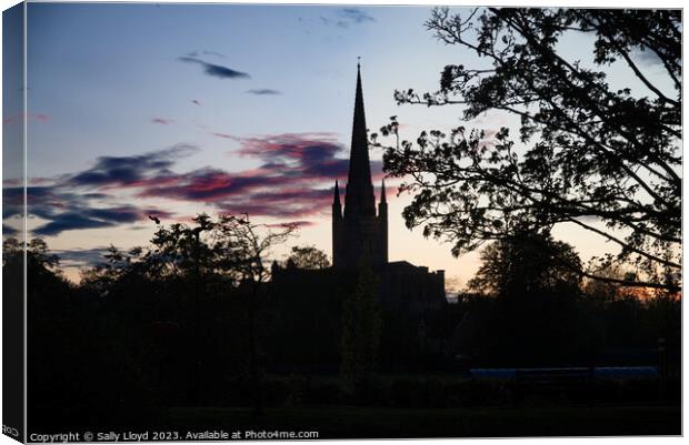 Norwich Cathedral Silhouette at sunset Canvas Print by Sally Lloyd