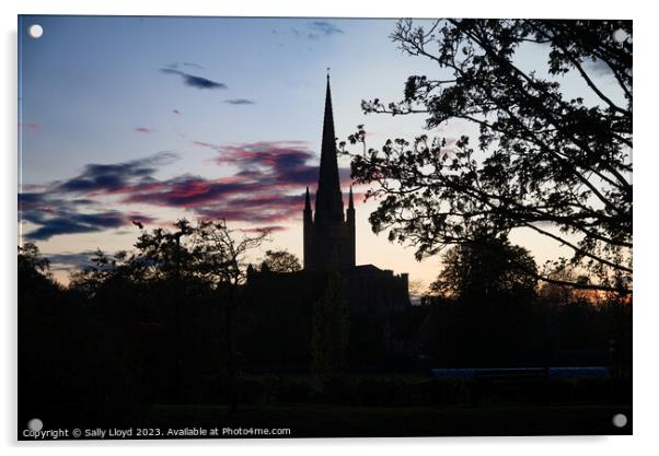 Norwich Cathedral Silhouette at sunset Acrylic by Sally Lloyd
