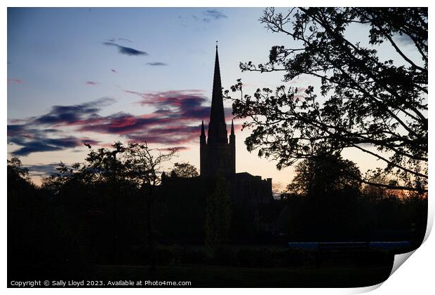 Norwich Cathedral Silhouette at sunset Print by Sally Lloyd