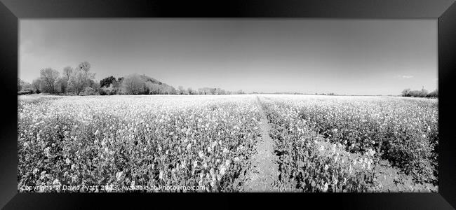 Somerset Fields Panorama Infrared Framed Print by David Pyatt