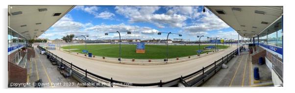 Romford Stadium Panorama Acrylic by David Pyatt