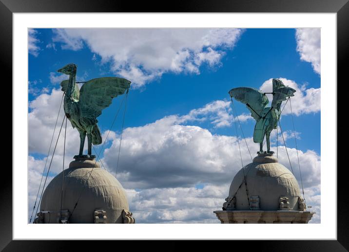 Liverpool Liver Birds Framed Mounted Print by Dave Wood