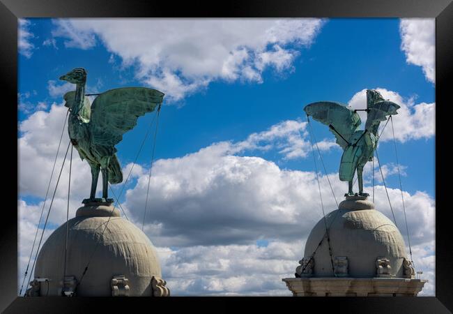 Liverpool Liver Birds Framed Print by Dave Wood