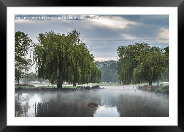 Weeping Willow and hovering mist Framed Mounted Print by Kevin White