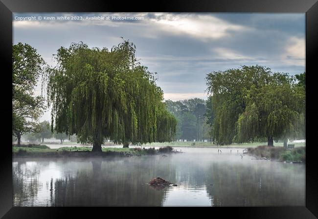 Weeping Willow and hovering mist Framed Print by Kevin White