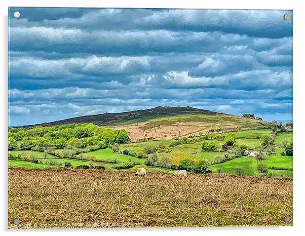 Rustic splendor of Dartmoor Acrylic by Roger Mechan