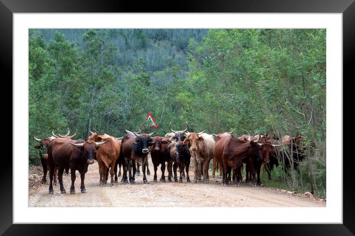 Road block Framed Mounted Print by Adrian Turnbull-Kemp