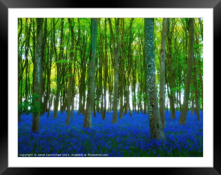 Ancient Bluebell Woods Framed Mounted Print by Janet Carmichael